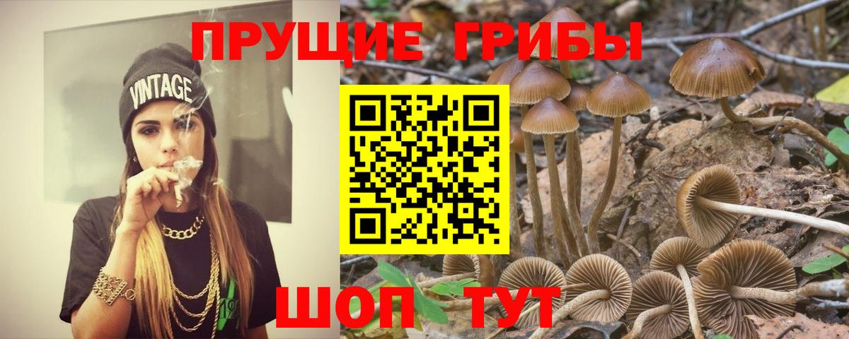 Галлюциногенные грибы Psilocybine cubensis  магазин  наркотиков  Вход с VPN  Долгопрудный  Галлюциногенные грибы прущие грибы 