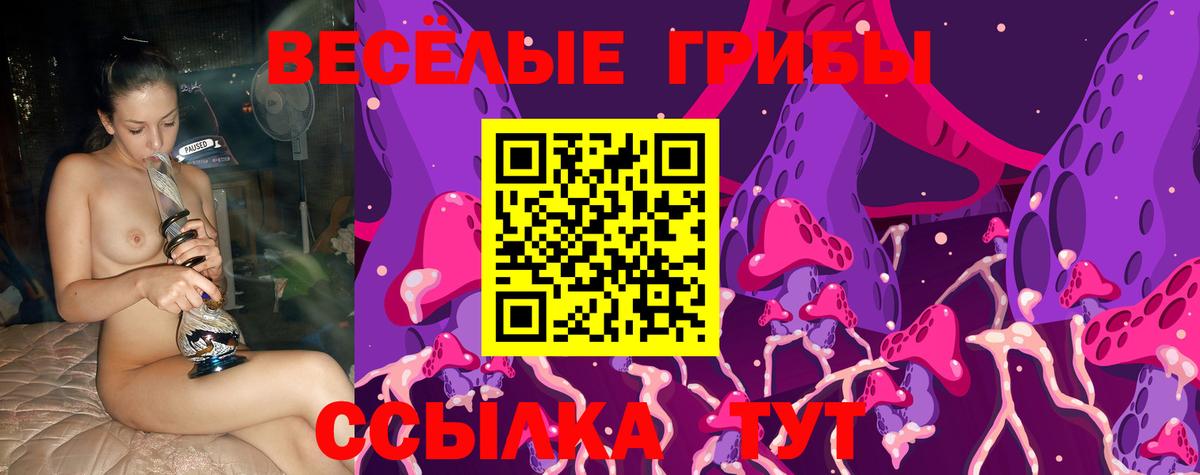 Псилоцибиновые грибы GOLDEN TEACHER Долгопрудный